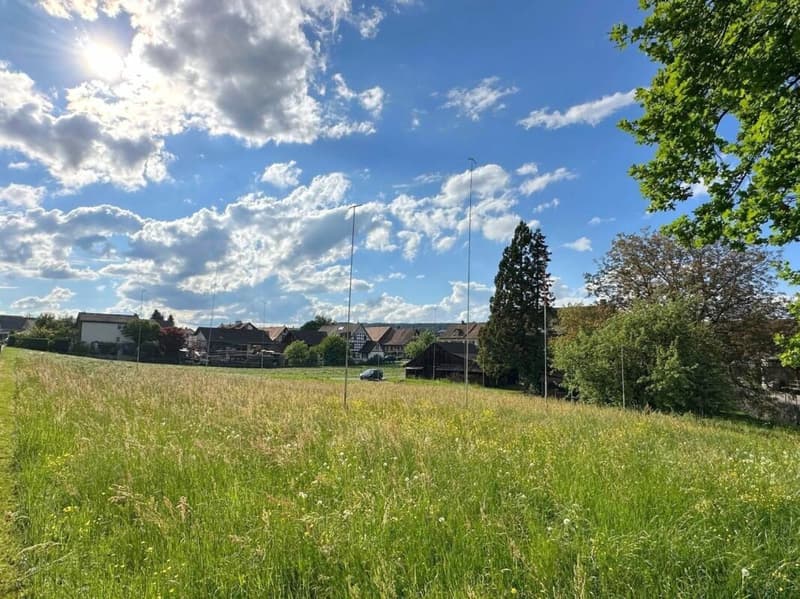 Ihr neues Zuhause im Grünen - Projekt Kleeblatt Pfyn (5)