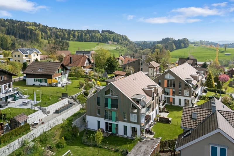 Moderne 4.5-Zimmerwohnung mit Alpenblick (1)