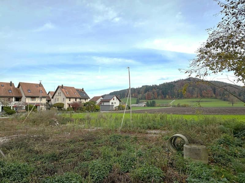Weitsicht & Idylle- modernes Doppelfamilienhaus in Bichelsee (6)