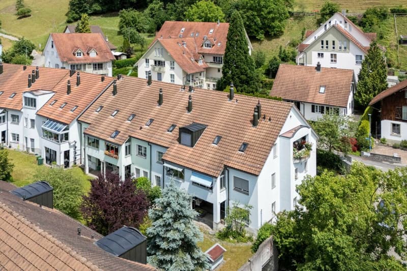 Grosszügige 4.5-Zimmer-Gartenwohnung mit weitläufigem Aussenbereich (4)