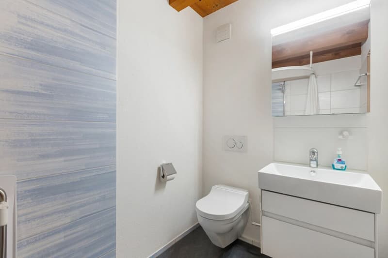 5.5-Zimmer-Reihenhaus zwischen Natur und Stadtnähe (8)