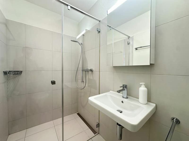 Attraktive 4.5-Zimmer Wohnung mit sonniger Terrasse in 8486 Rikon (7)