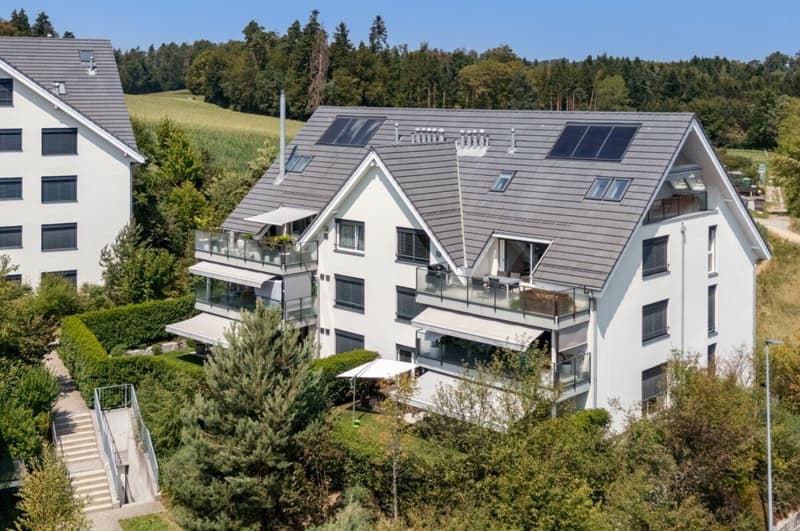 Moderne 4.5-Zimmer-Gartenwohnung mit hochwertigem Ausbau (2)