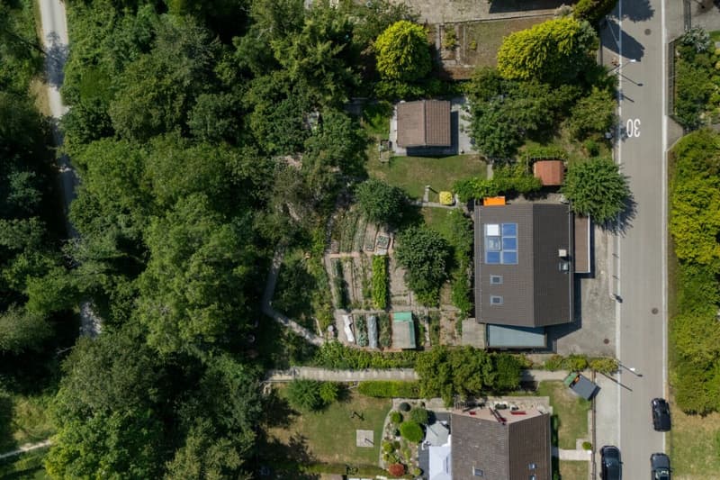 Idyllisches Anwesen mit viel Land & Privatsphäre (4)