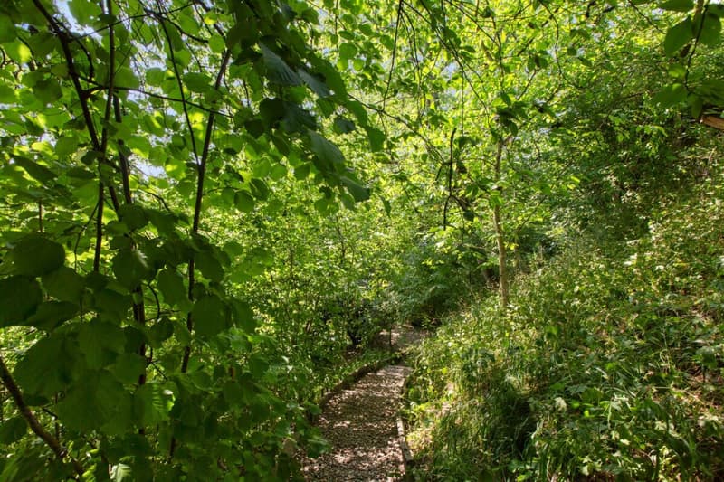 Idyllisches Anwesen mit viel Land & Privatsphäre (19)