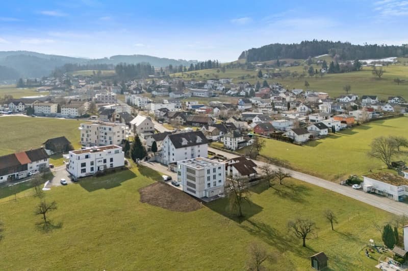 Grosszügige 4.5-Zimmer Attika mit Blick in die Natur (2)