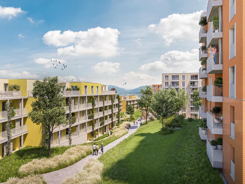 1.0 Zimmerwohnung in Wädenswil (1)