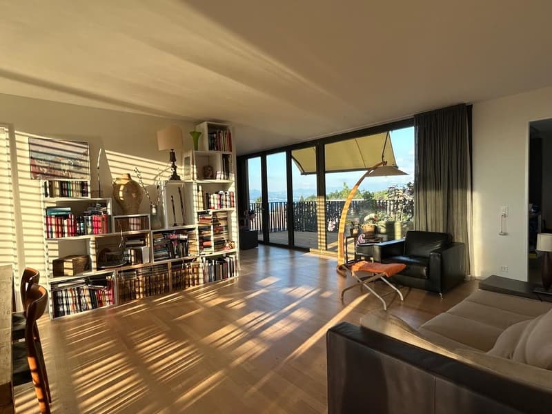 3.5 Zimmerwohnung In Wädenswil (4)