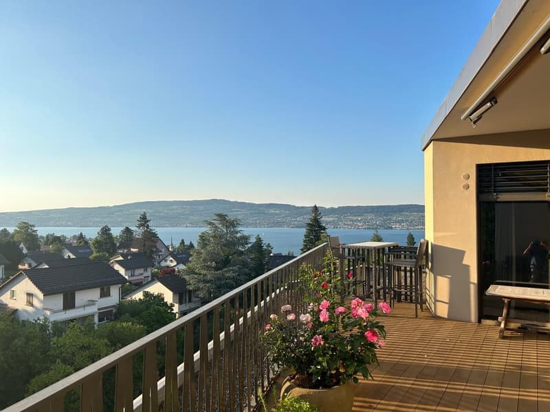 3.5 Zimmerwohnung In Wädenswil (2)
