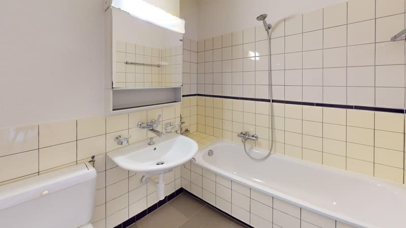 3-Zimmer-Wohnung im Herzen von Zürich (6)