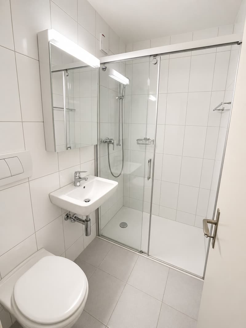 3-Zimmer-Wohnung in naturnaher Lage Horgen BEFRISTET bis 28.02.2027 (4)