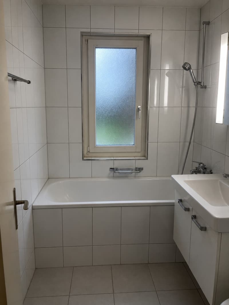 4-Zimmer-Wohnung in naturnaher Lage Horgen BEFRISTET bis 31.10.2026 (6)