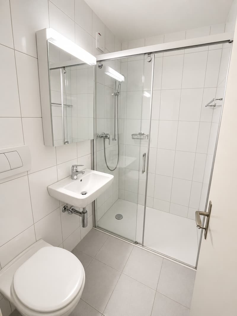 4-Zimmer-Wohnung in naturnaher Lage Horgen BEFRISTET bis 30.09.2027 (4)