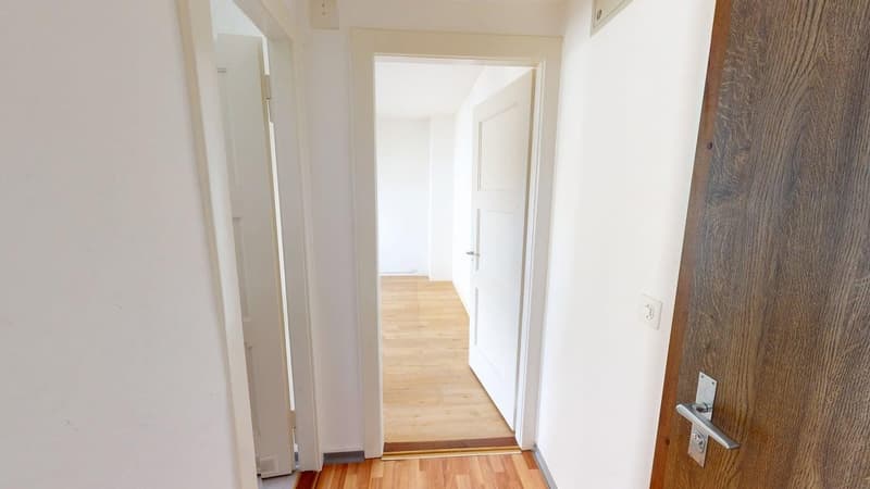 1-Zimmer-Wohnung in Altstetten (ideale Zwischenlösung bis 30.04.2027) (8)