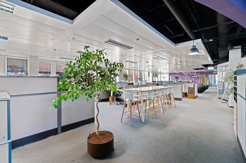 Flexible Gewerbefläche (60 m²) direkt beim Bahnhof Basel  ab CHF 590./Monat befristet für 3 Jahre (4)