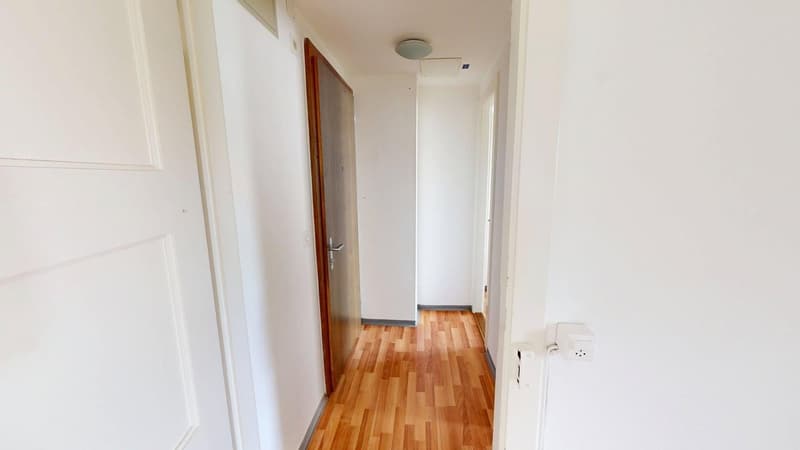 1-Zimmer-Wohnung in Altstetten (ideale Zwischenlösung bis 30.04.2027) (2)