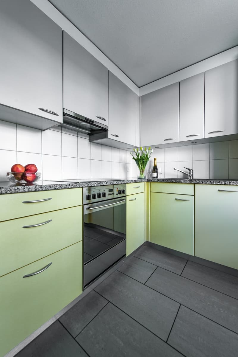 Helle 3-Zimmer-Wohnung in Zürich Seebach  befristet bis (31.01.2027) (3)