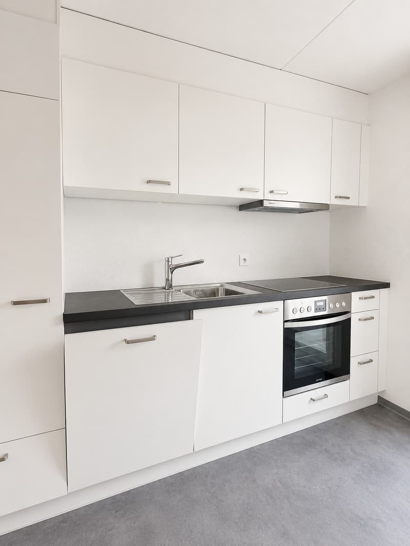 Helle 3-Zimmer-Wohnung in Zürich  befristet bis (30.04.2027) (3)