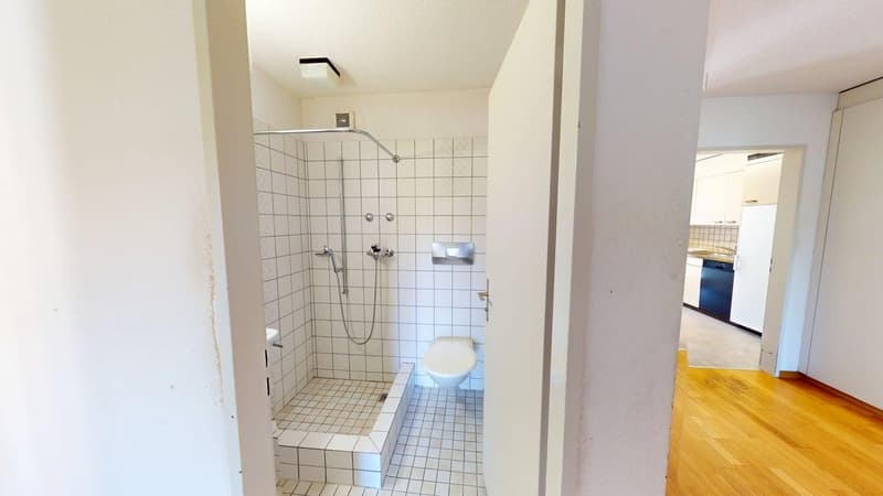 Gemütliche 4-Zimmer-Wohnung in Zürich-Altstetten (Befristung bis 30.09.2027) (9)
