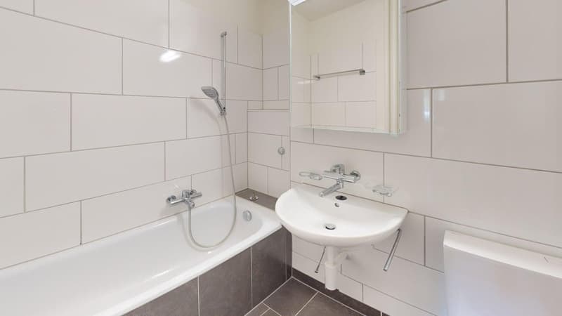 Befristete 3-Zimmer-Wohnung im Herzen von Zürich - bis 31.03.2027 (4)