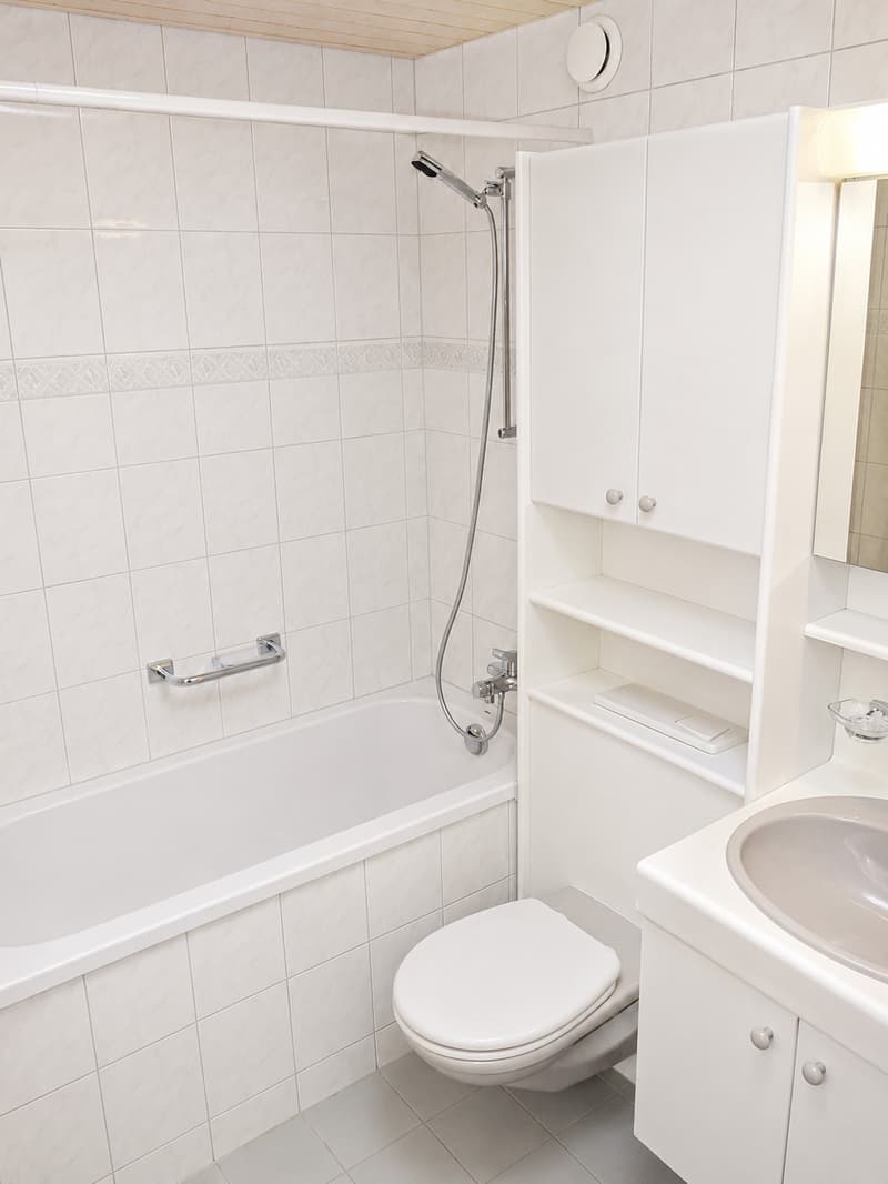 Charmante und naturnahe, helle 4-Zimmer-Wohnung  befristet in Uetikon am See (4)