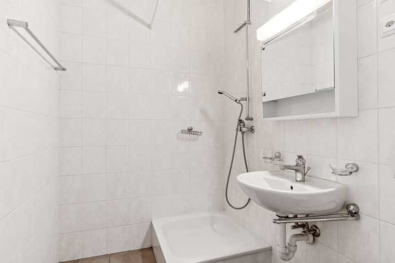 3-Zimmer-Wohnung in Zürich-Seebach ruhig, naturnah und gut angebunden (4)