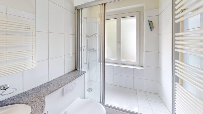 Befristet bis 30.09.2027: Ideale Zwischenlösung 2-Zimmerwohnung in Wiedikon (5)