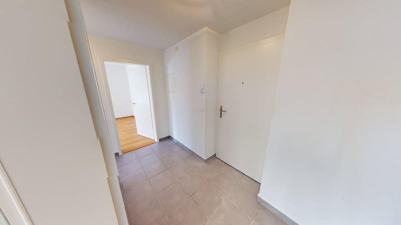 Befristet bis 30.09.2027: Ideale Zwischenlösung 2-Zimmerwohnung in Wiedikon (4)