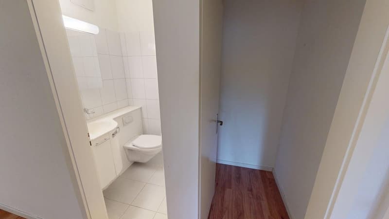 Ruhige 4-Zimmer-Wohnung in Zürich-Witikon (Zwischennutzung bis März 2027) (10)