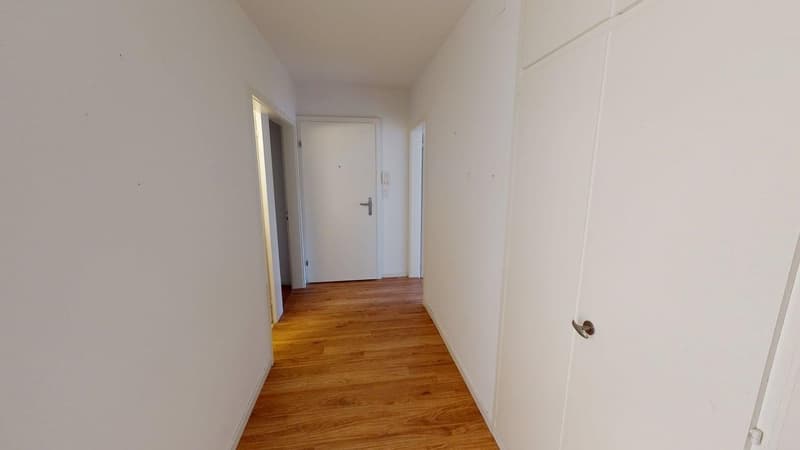 Ruhige 4-Zimmer-Wohnung in Zürich-Witikon (Zwischennutzung bis März 2027) (5)