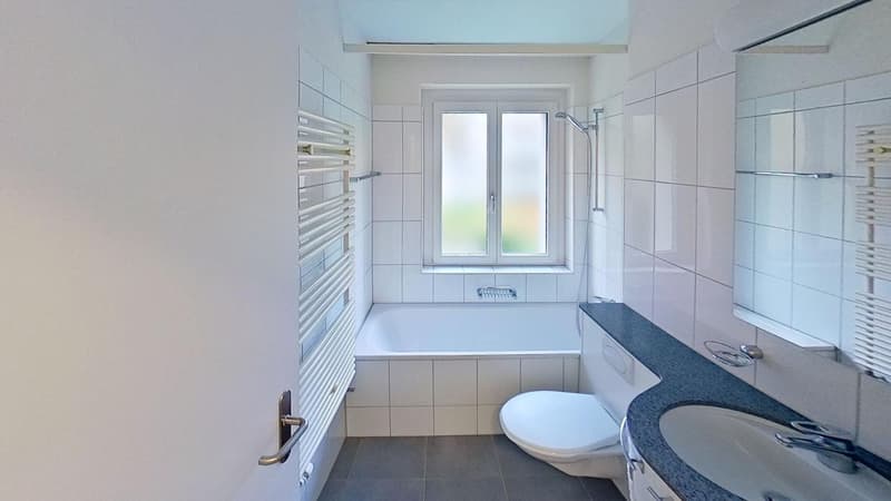 Befristet bis 30.11.2026: Ideale Zwischenlösung 2.5-Zimmerwohnung in Wiedikon (10)