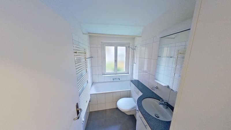 Befristet bis 30.11.2026: Ideale Zwischenlösung 2.5-Zimmerwohnung in Wiedikon (8)