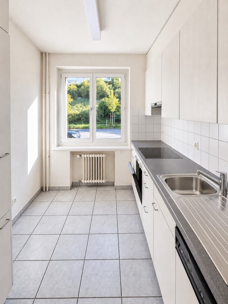 Zentrale 2-Zimmer-Wohnung in Zürich-Höngg (BEFRISTET)  stadtnah und naturnah wohnen (3)