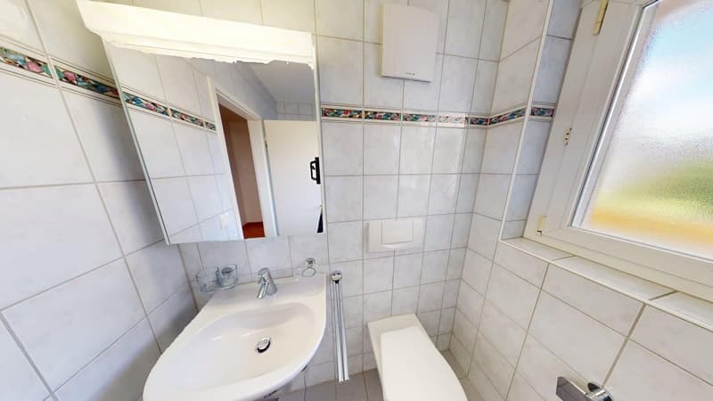 Grosszügige 1-Zimmer-Wohnung in urbaner Lage in Zürich (befristet bis 30.06.2028) (5)