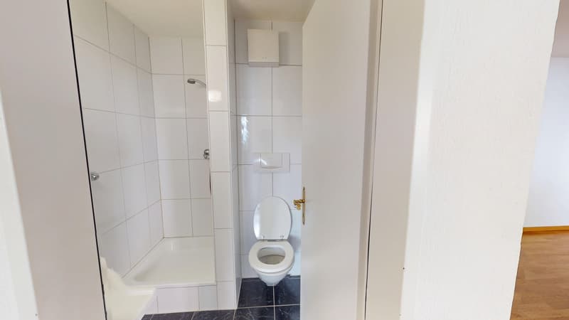 4-Zimmer-Wohnung an attraktiver Lage in Zürich-Enge - Befristet bis 30.04.2027 / Unmöbliert / MUSTERBILDER (4)