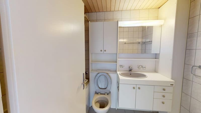 Helle 4-Zimmer-Wohnung im 1. OG  ruhig wohnen in Uetikon am See | BEFRISTET (12)