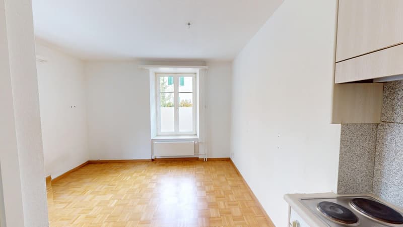 1-Zimmer-Wohnung in Zürich-Werd / Befristet bis zum 15.01.2027 (2)