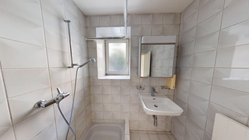 1-Zimmer-Wohnung in Zürich-Werd / Befristet bis zum 15.01.2027 (4)