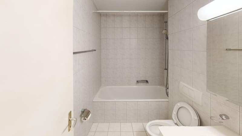 1-Zimmer-Wohnung in Zumikon (3)