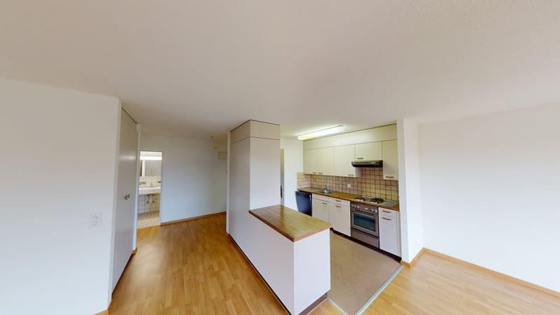 Gemütliche 2-Zimmer-Wohnung in Zürich-Altstetten (Befristung bis 30.09.2027) (3)