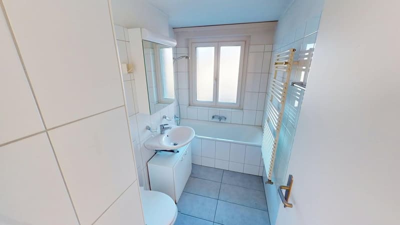 Befristet bis 30.09.2027: Ideale Zwischenlösung 4 1/2-Zimmerwohnung in Wiedikon (3)