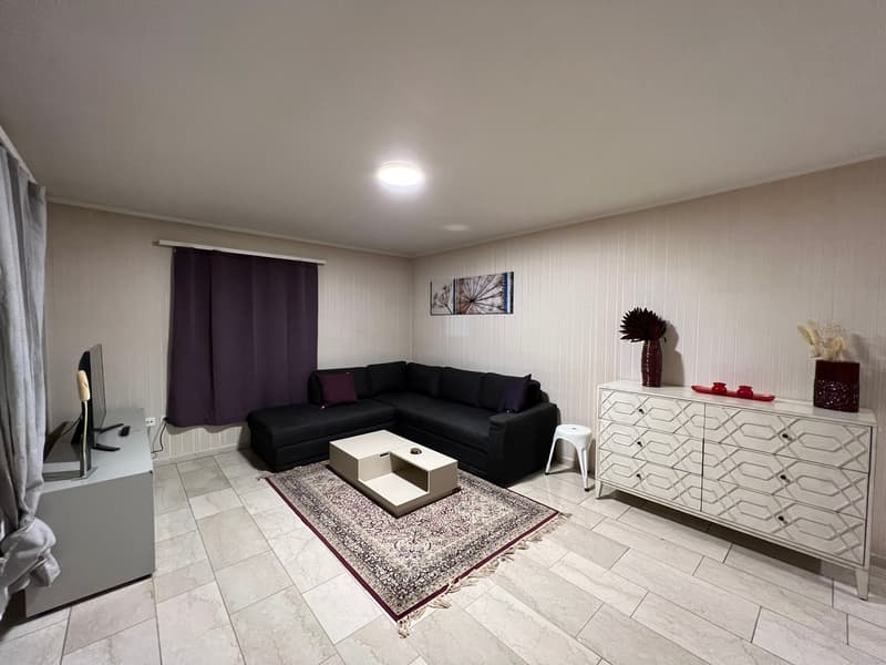 Specious 6.5 room apartment @Wallisellen - Sharing twin bed and individual rooms (1)