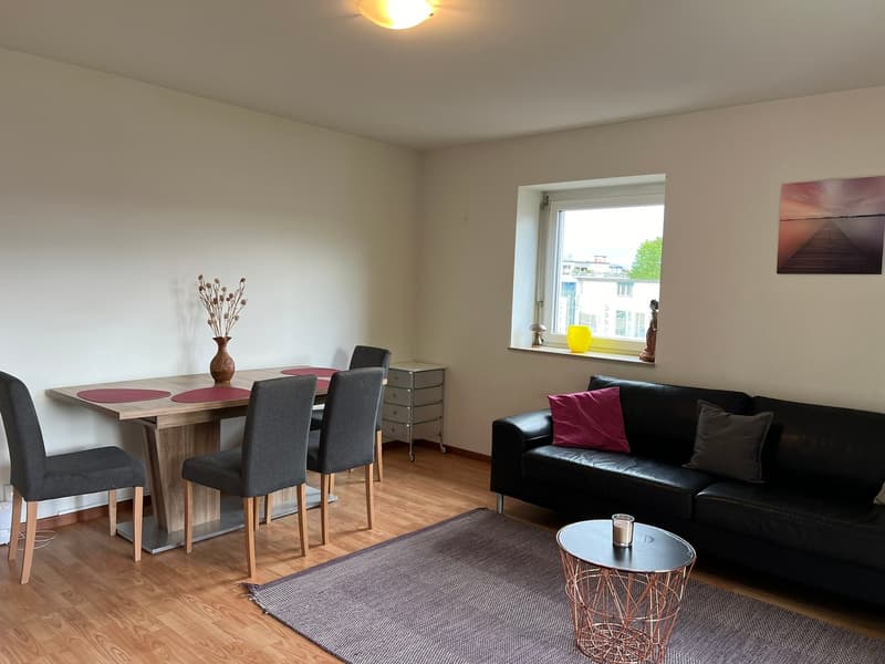 Expats Friendly -4.5 fully furnished business apartment - Wallisellen NWS-75 - Full / Sharing / WG (1)