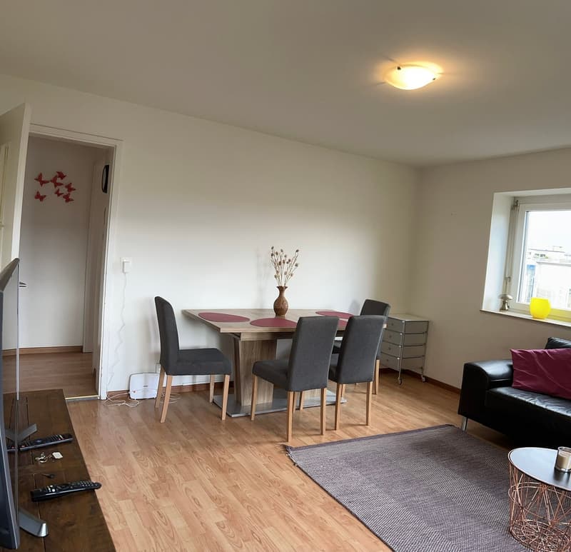 Expats Friendly -4.5 fully furnished business apartment - Wallisellen NWS-75 - Full / Sharing / WG (2)