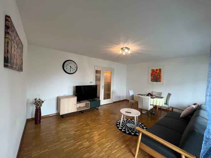 For Expats -1.5Zi Furnished Business Apartment @ 8600 Dübendorf (2)