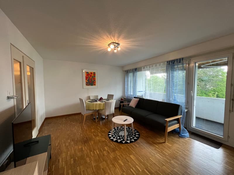 For Expats -4.5Zi Furnished Business Apartment @ 8600 Dübendorf (1)