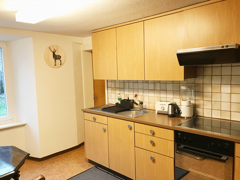 For Expats -1.5 fully furnished business apartment in 8135 Langnau am Albis (6)