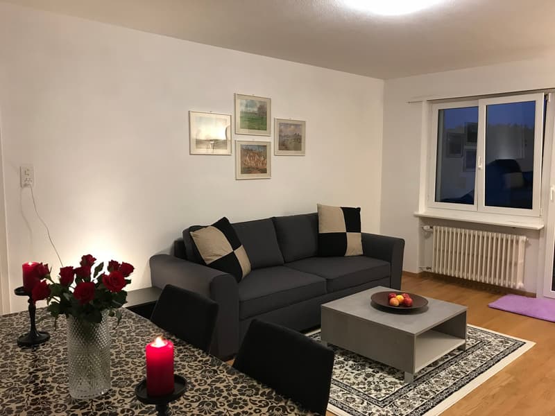 Expats -3.5 fully furnished business apartment @8152 Opfikon, Glattbrugg (1)