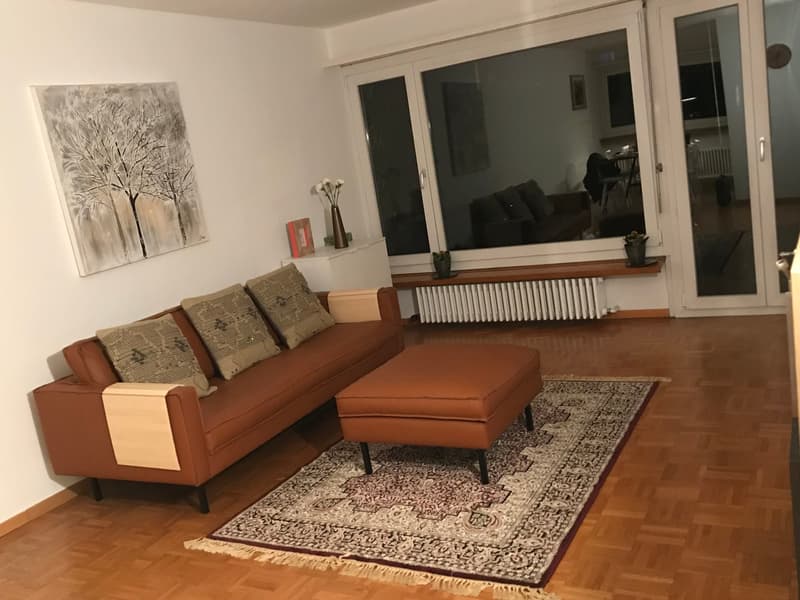 Expats -2.5 fully furnished business apartment @ 8304 Wallisellen Sharing/WG/Family (1)