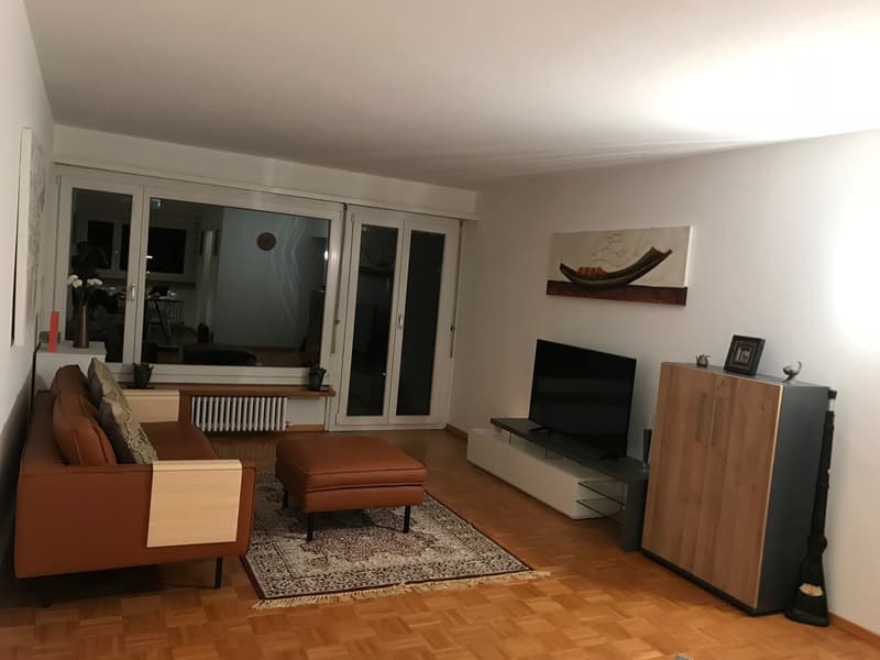 Expats -4.5 fully furnished business apartment @ 8304 Wallisellen Sharing/WG/Family (2)